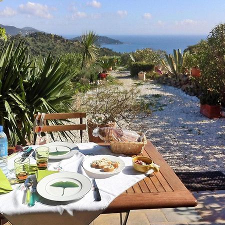 Pretty Tiny House With Sea View, Le Lavandou Exterior photo